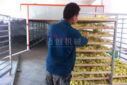 鮮花烘干房 鮮花烘干房