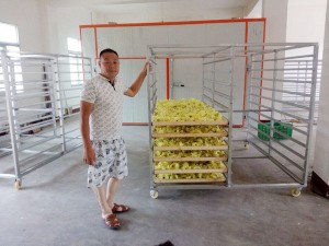玫瑰花烘干機(jī)