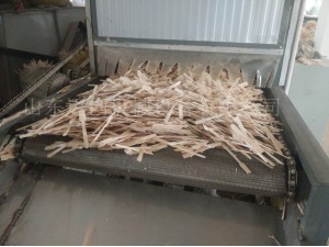 雪糕棒咖啡棒網(wǎng)帶式烘干機(jī)